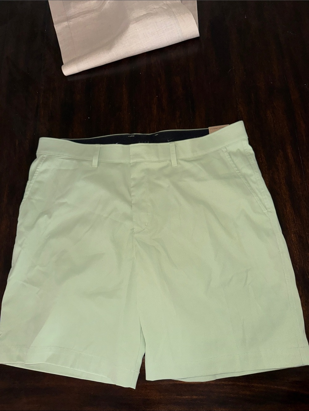 Nike Men's Mint Green Golf Shorts
